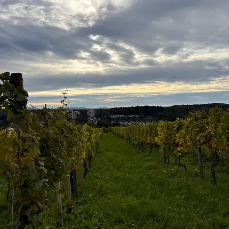 Weinberg Lounge Daire Eisingen (Enz)