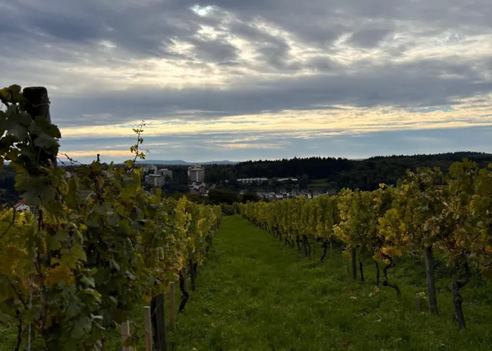 Weinberg Lounge Appartement Eisingen (Enz)